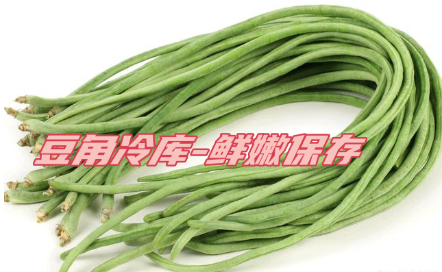 豆角工業(yè)冷庫：鮮嫩保存，一年四季供應(yīng)