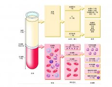 -30℃～-80℃血漿蛋白低溫冷凍庫(kù)規(guī)范，冷庫(kù)安裝價(jià)格